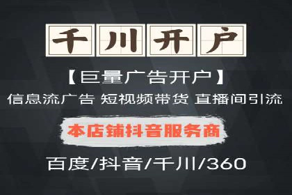 竞价广告投放技巧与案例分析